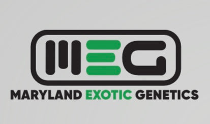 Maryland’s Exotic Genetics